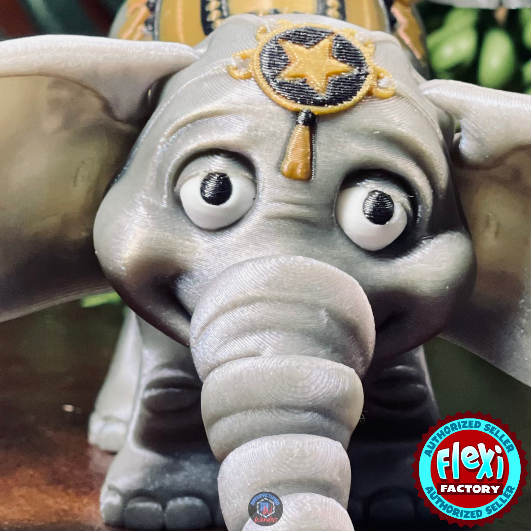 Circus Elephant